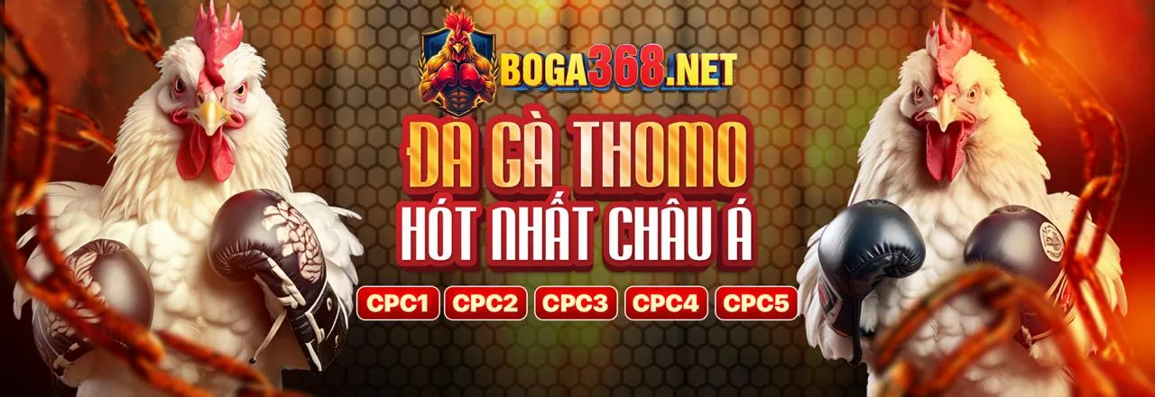 Hình ảnh hỗ trợ khách hàng VS88 đá gà trực tiếp