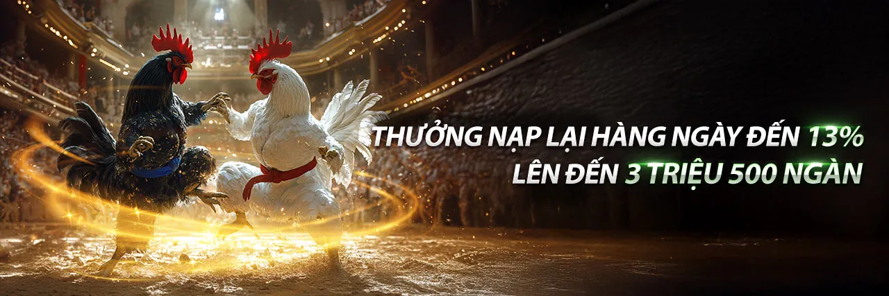 Sân đấu đá gà trực tiếp vs88 với các chiến kê đang thi đấu, thể hiện chiến lược cá cược
